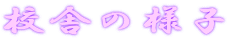 Zɂ̗lq