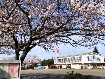 学校外観写真